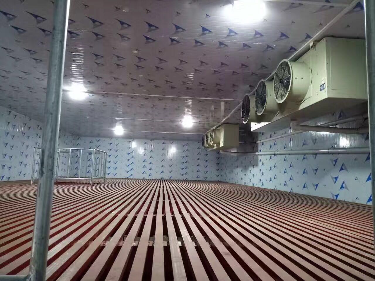 1559888818482945.jpg fdf8f6cfa7399a46371f92ab177771d.jpg